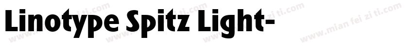Linotype Spitz Light字体转换